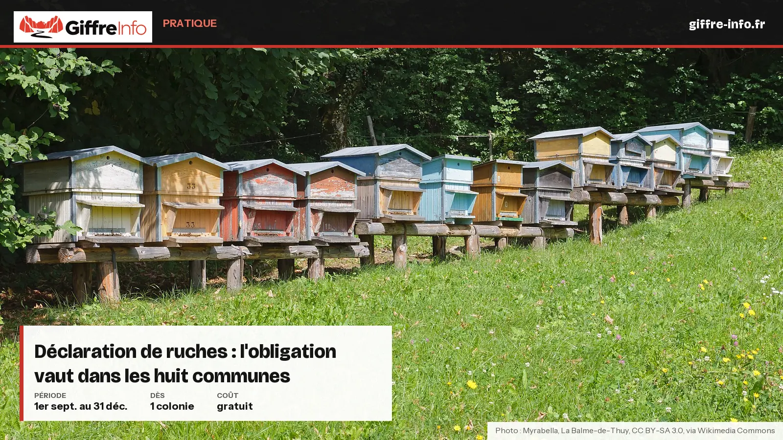 Déclaration de ruches : l'obligation vaut dans les huit communes. Beehives near La Balme-de-Thuy, Haute-Savoie, France.